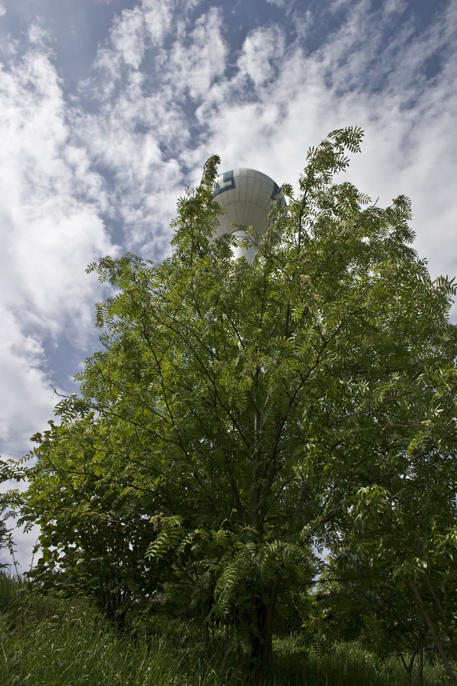 Wasserturm Nempitz - Sachsen - Anhalt