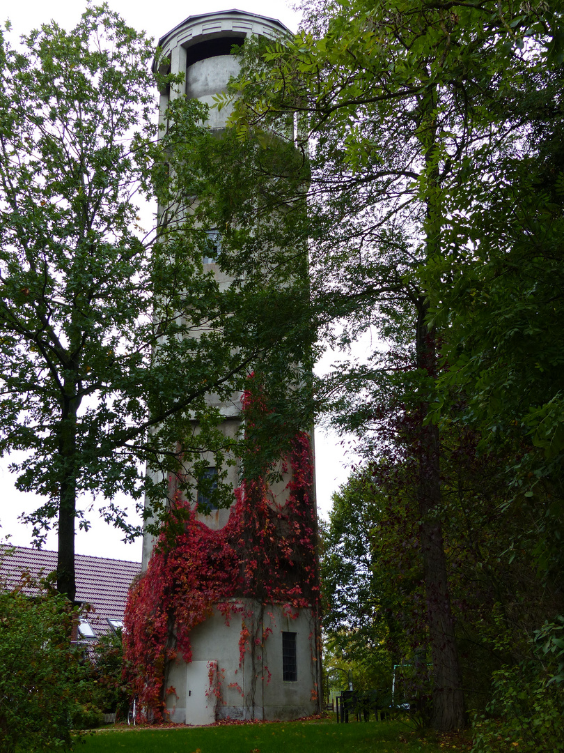 Wasserturm Röbel (Müritz)