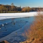 Wasservariationen am Kiessee in Göttingen 