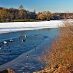 Wasservariationen am Kiessee in Göttingen 