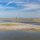 Wasservogelreservat Wallnau