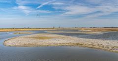 Wasservogelreservat Wallnau