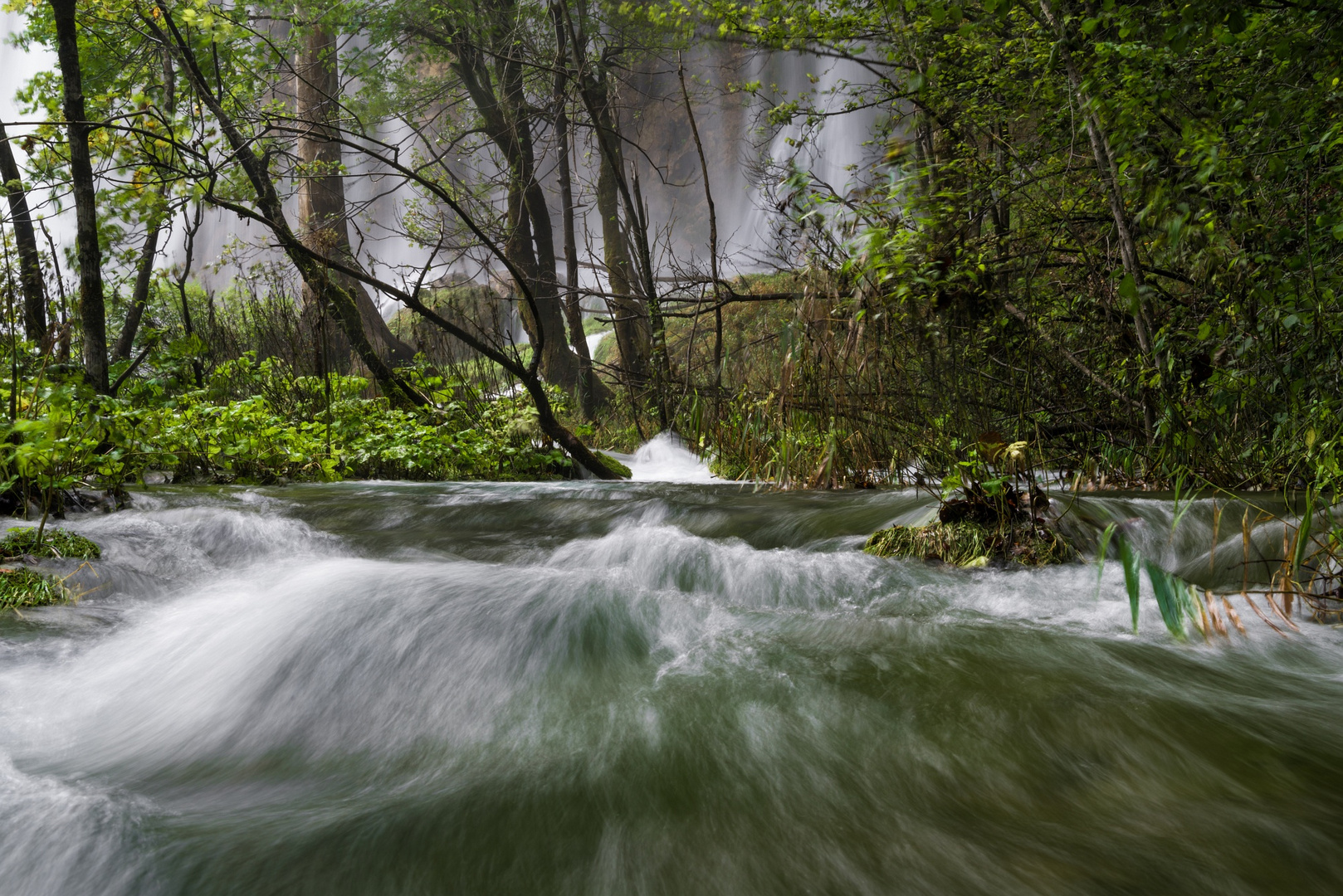 Wasserwald II