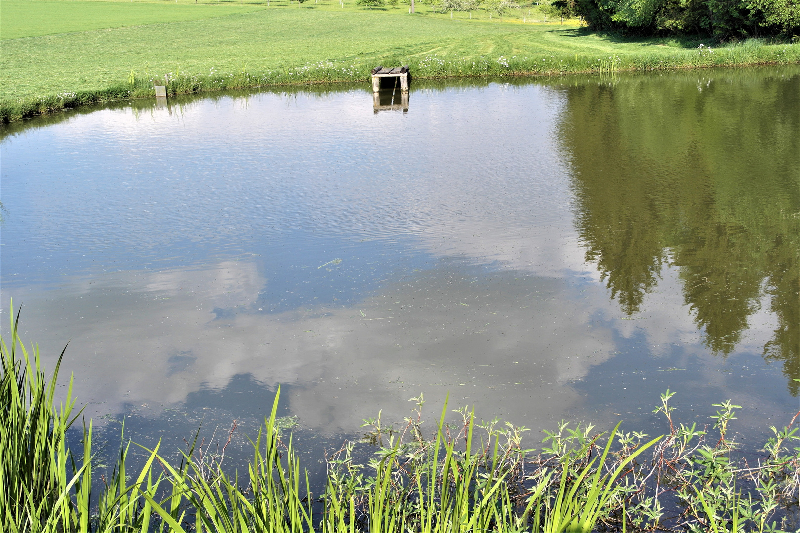 Wasser,Wald,Wolken,Wiese Spiegeltag