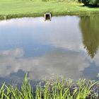 Wasser,Wald,Wolken,Wiese Spiegeltag