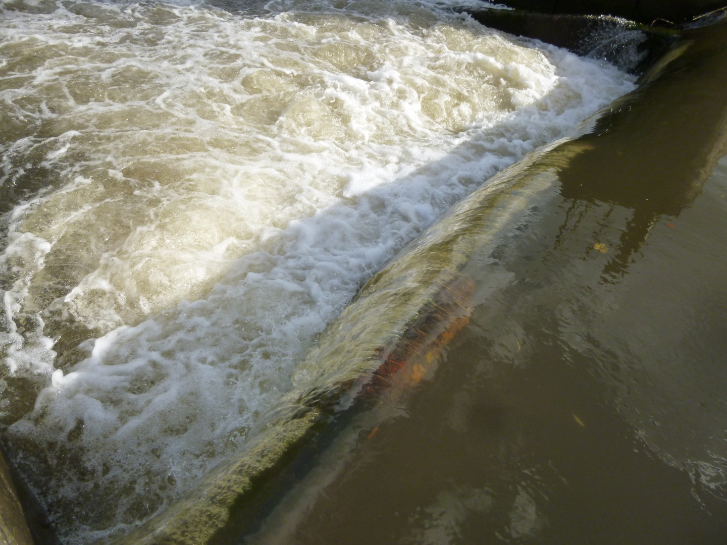 Wasserwalze am Wehr