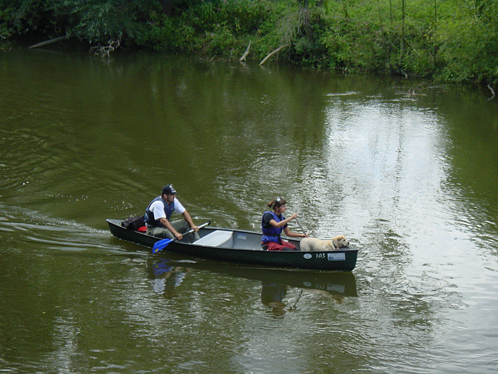 Wasserwandern auf der Saale