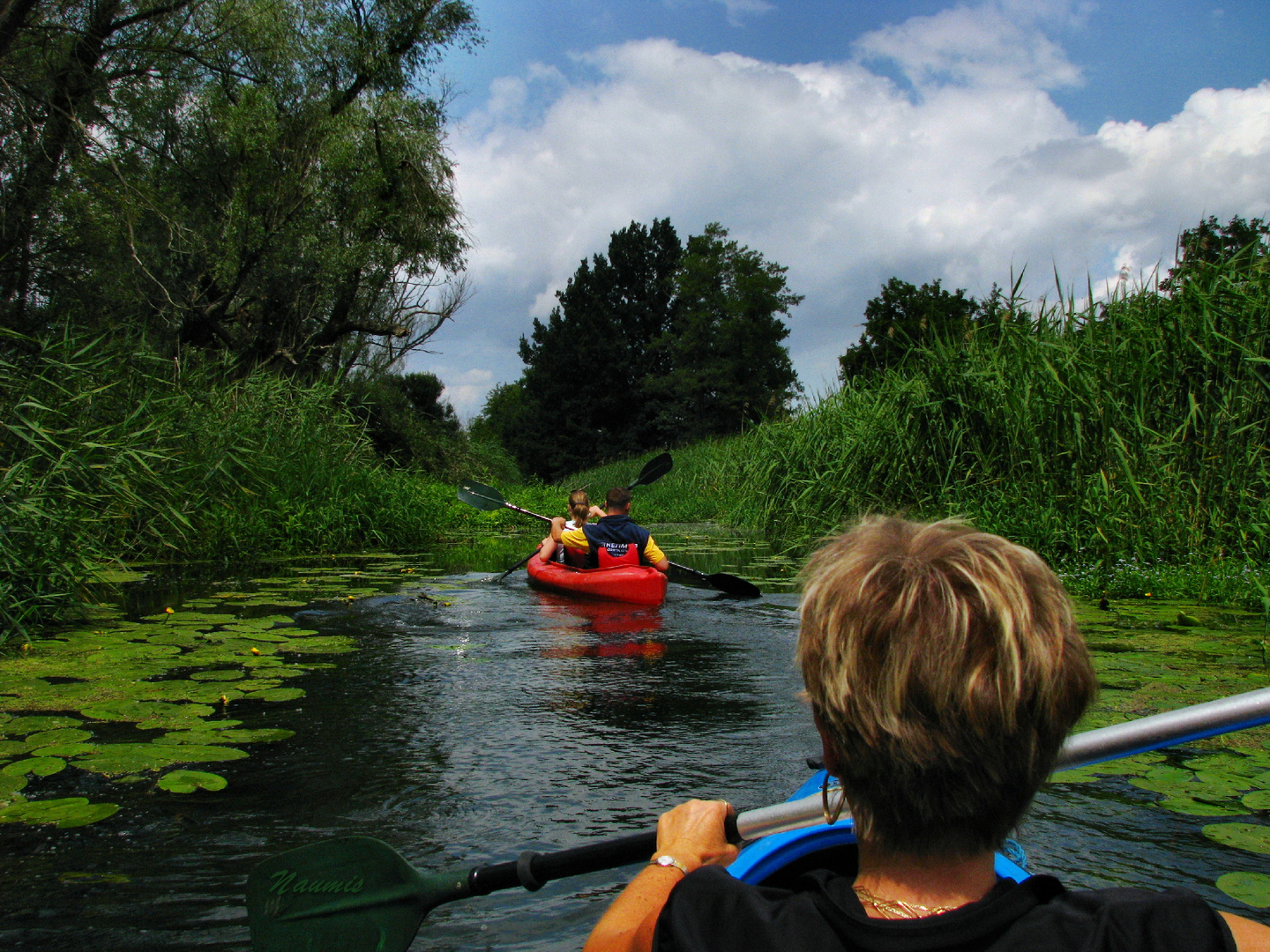 Wasserwandern 