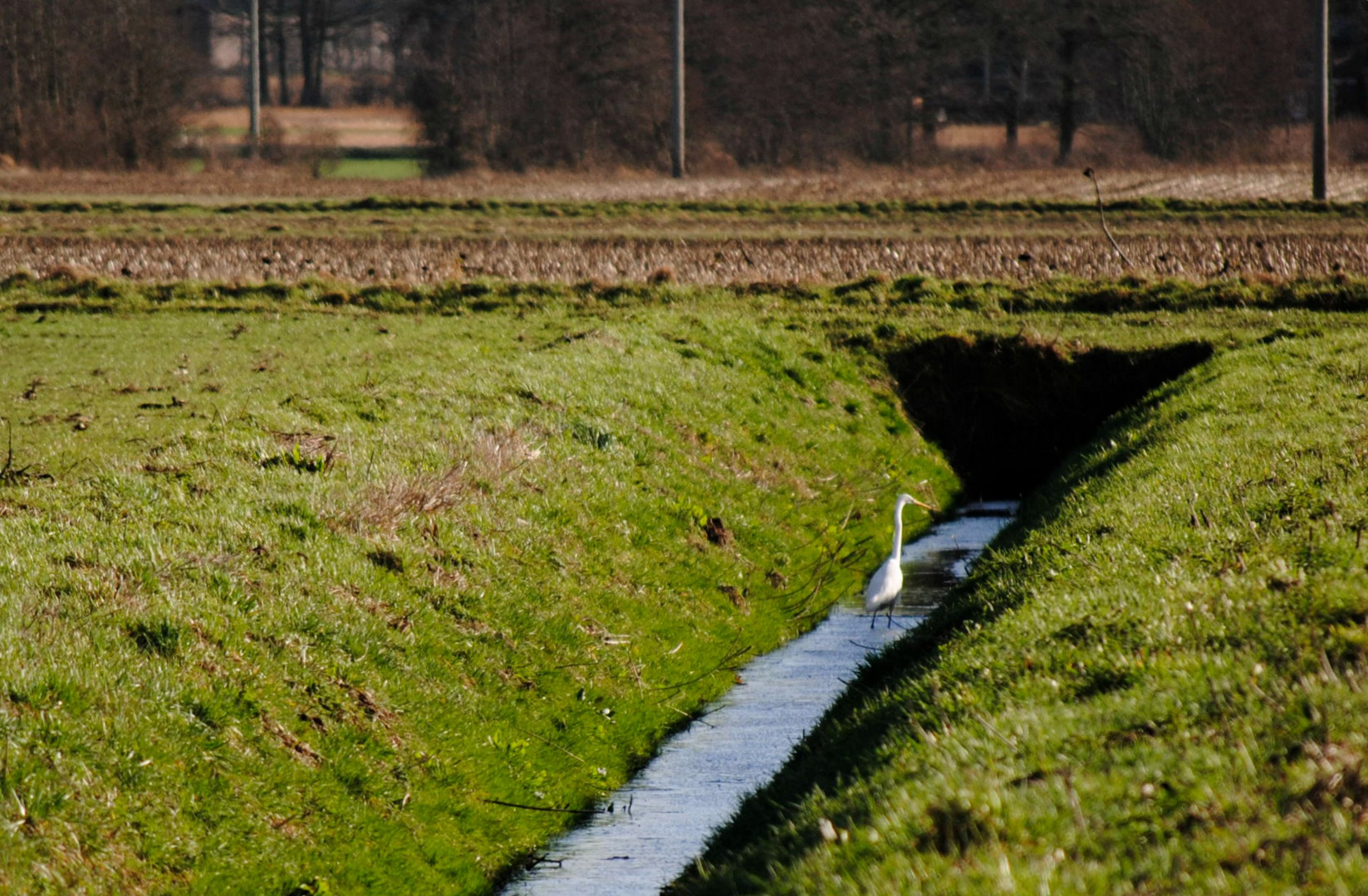 Wasserwanderung