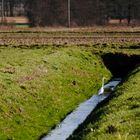 Wasserwanderung