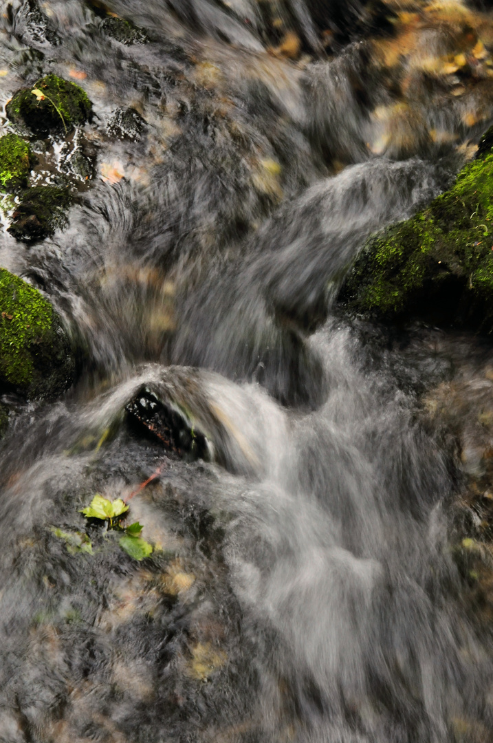 " Wasserweg "