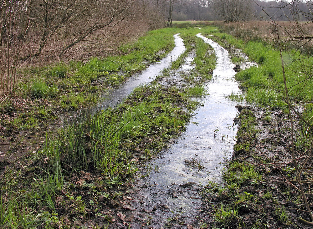 Wasserweg