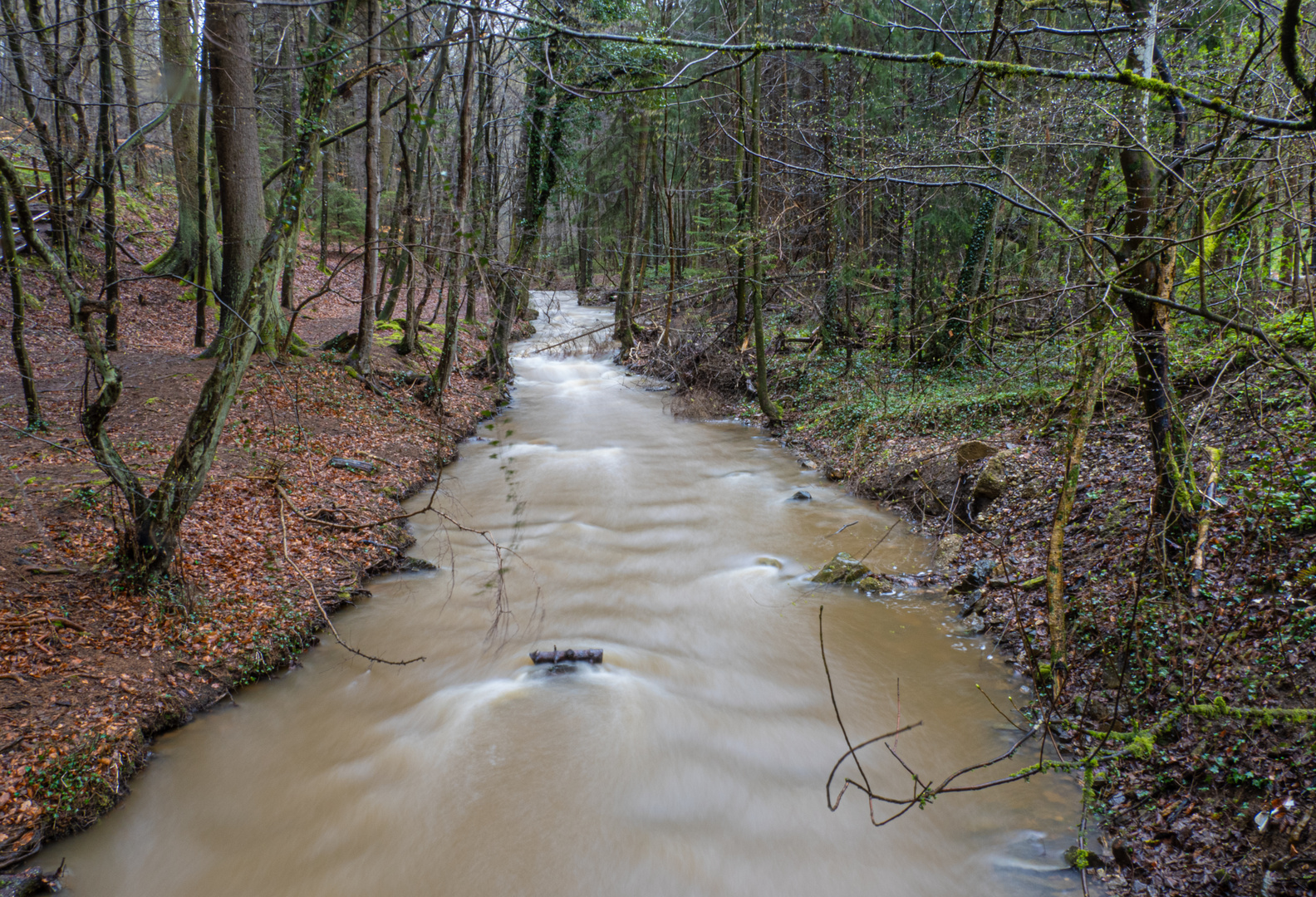 Wasserweg (72)