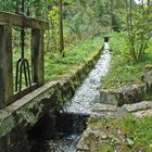 Wasserweg am Wanderweg Ravennaschlucht