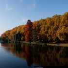 (Wasser)Weg im Herbst