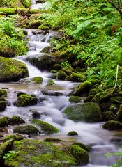  Wasserweg im Wechselgebiet, Niederösterreich