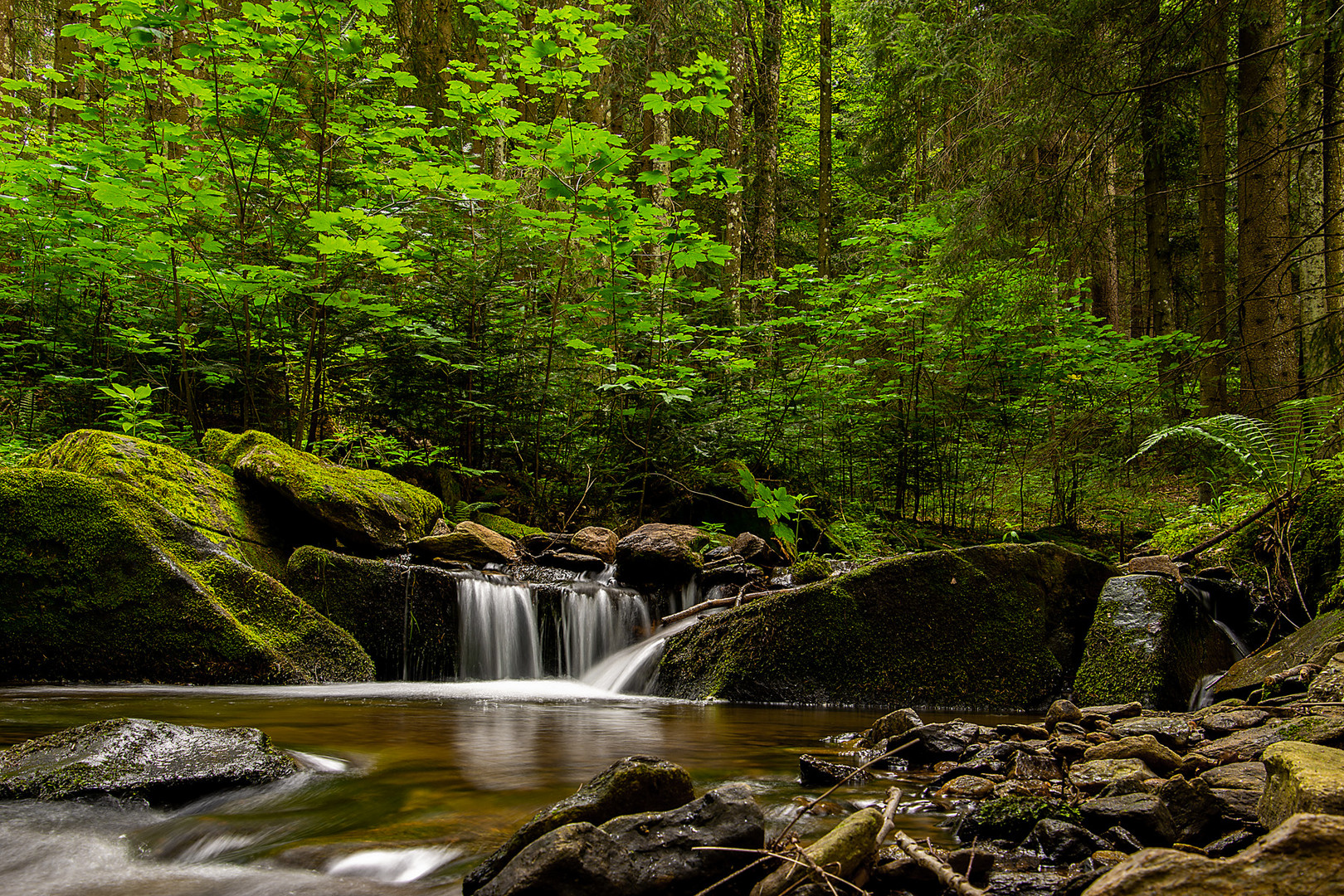 Wasserweg-Miesenbach Steiermark