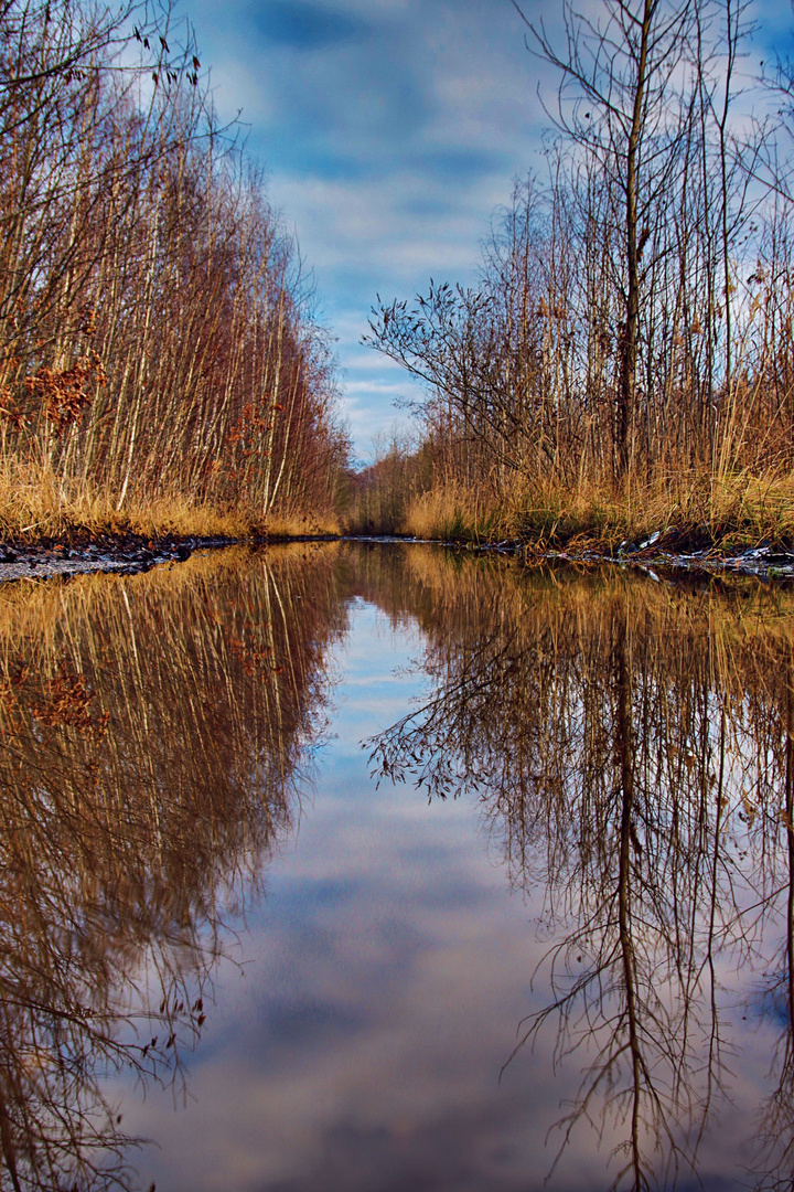 Wasserweg mit Spiegelung 