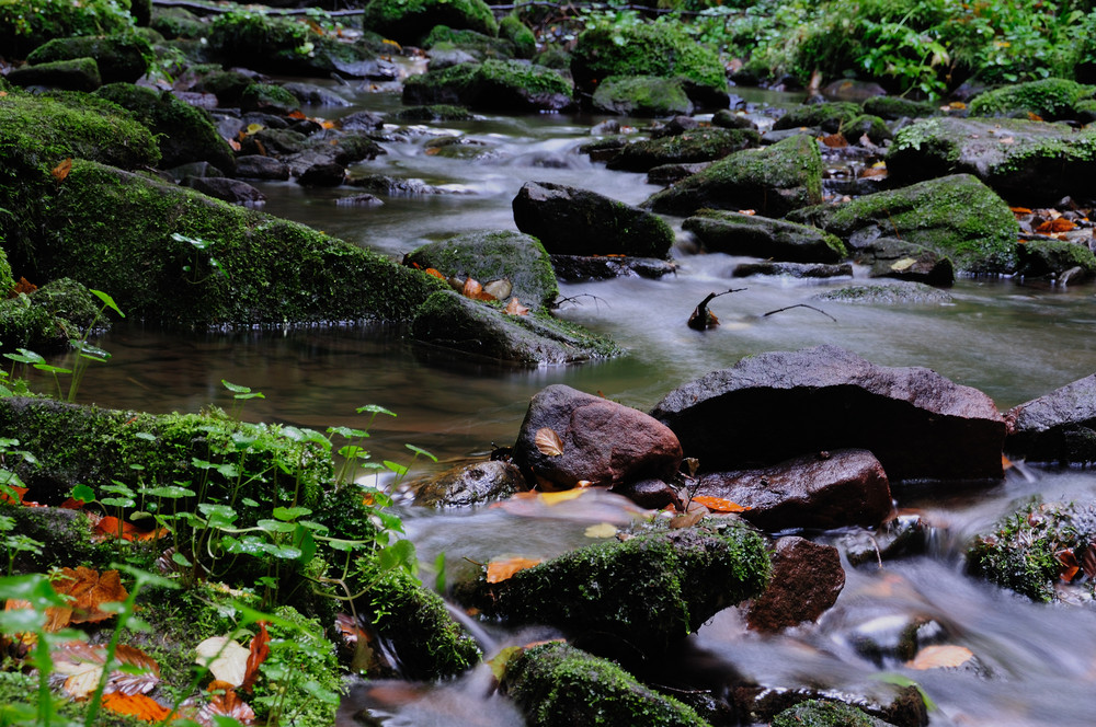 wasserwege ...