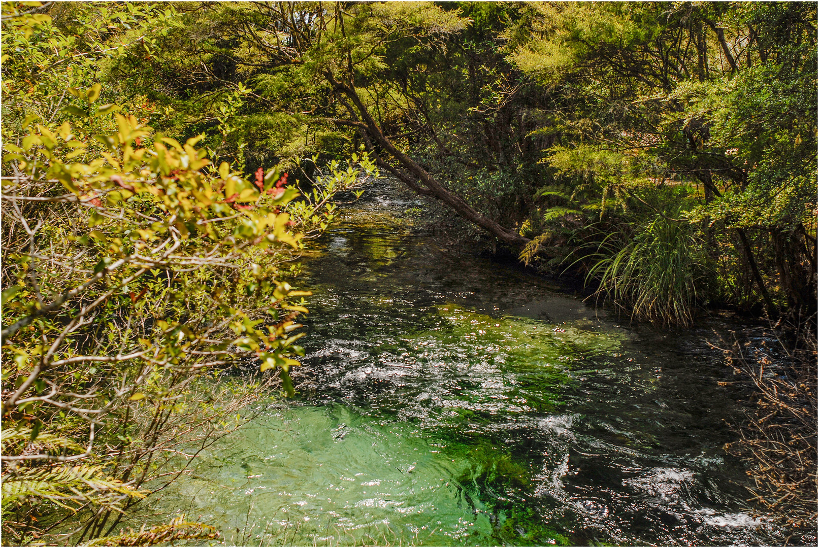 "Wasserwege" - Südinsel Neuseeland, 2007