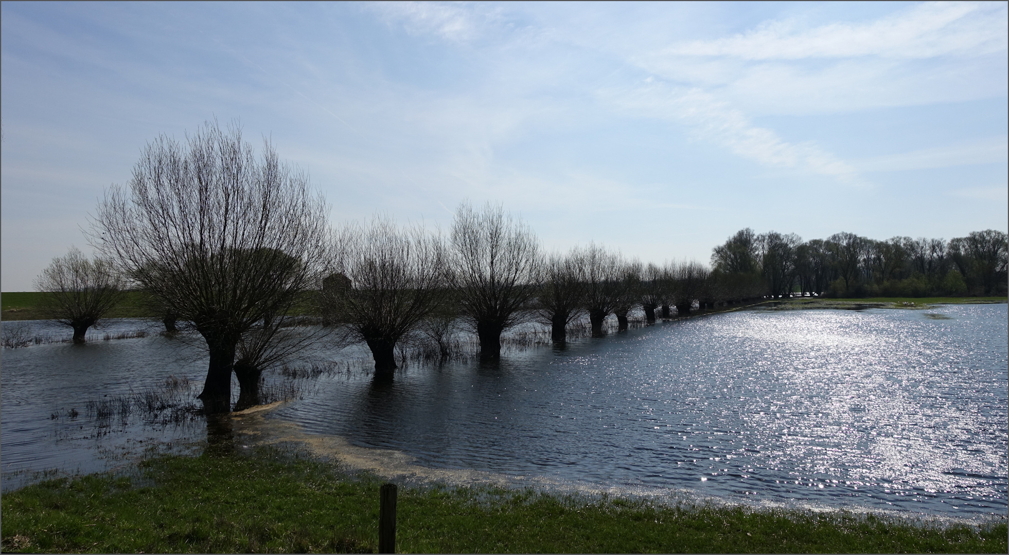 "Wasserweiden" in Seerau