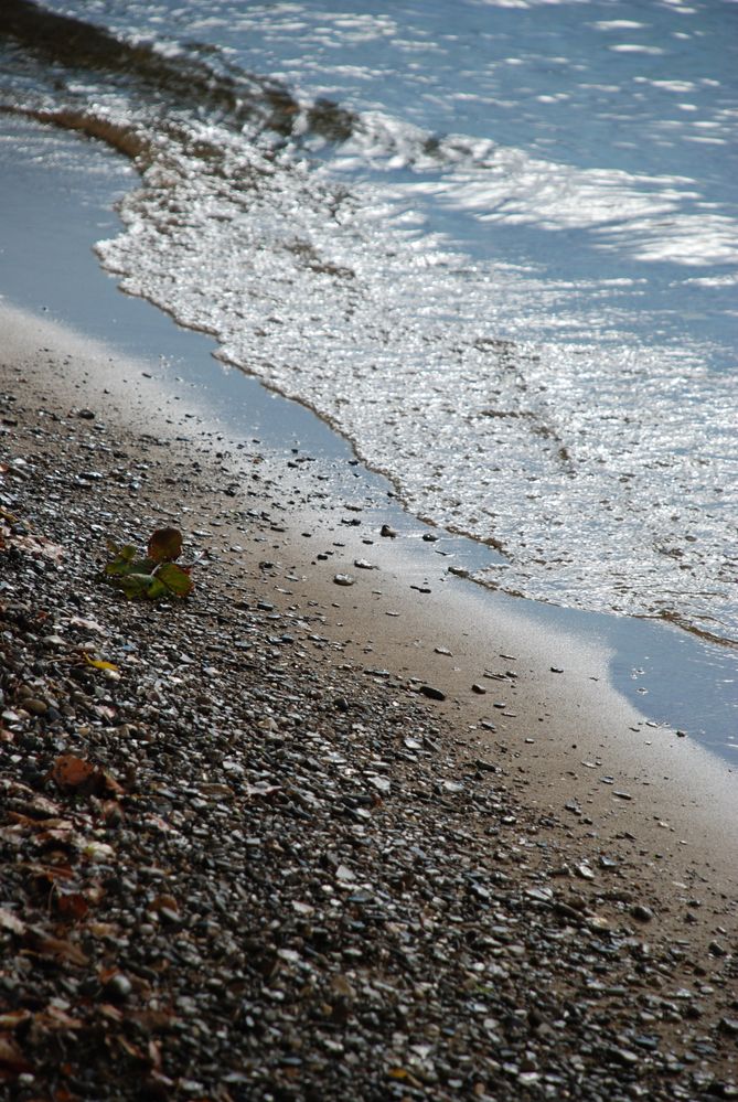 WasserWelle am herbstlichen Strand