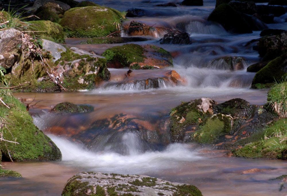 Wasserwellen