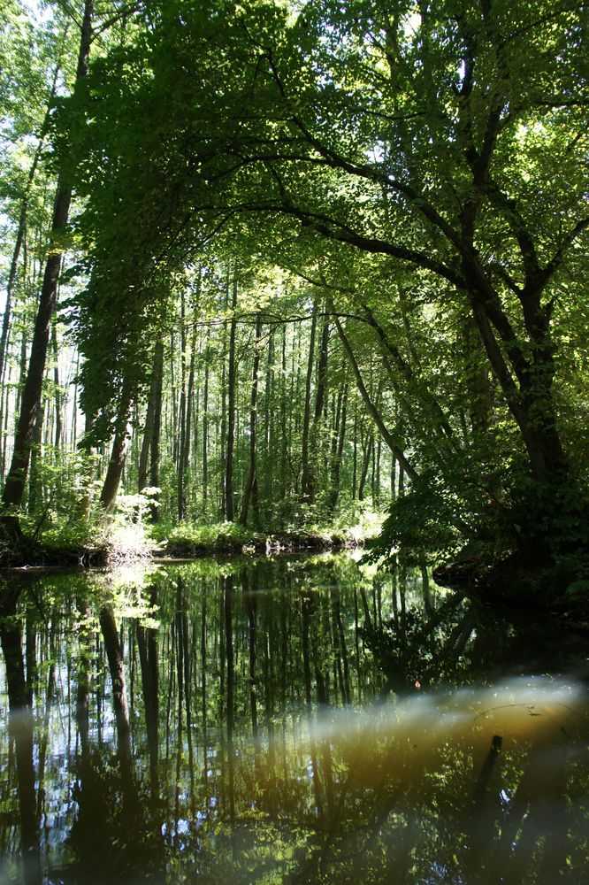 Wasserwelt von Jens Stubenrauch 