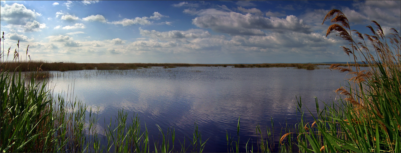 Wasserwelt