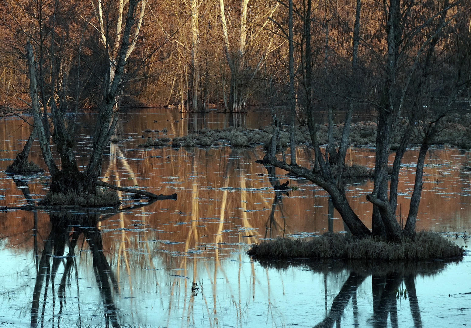 wasserwelt