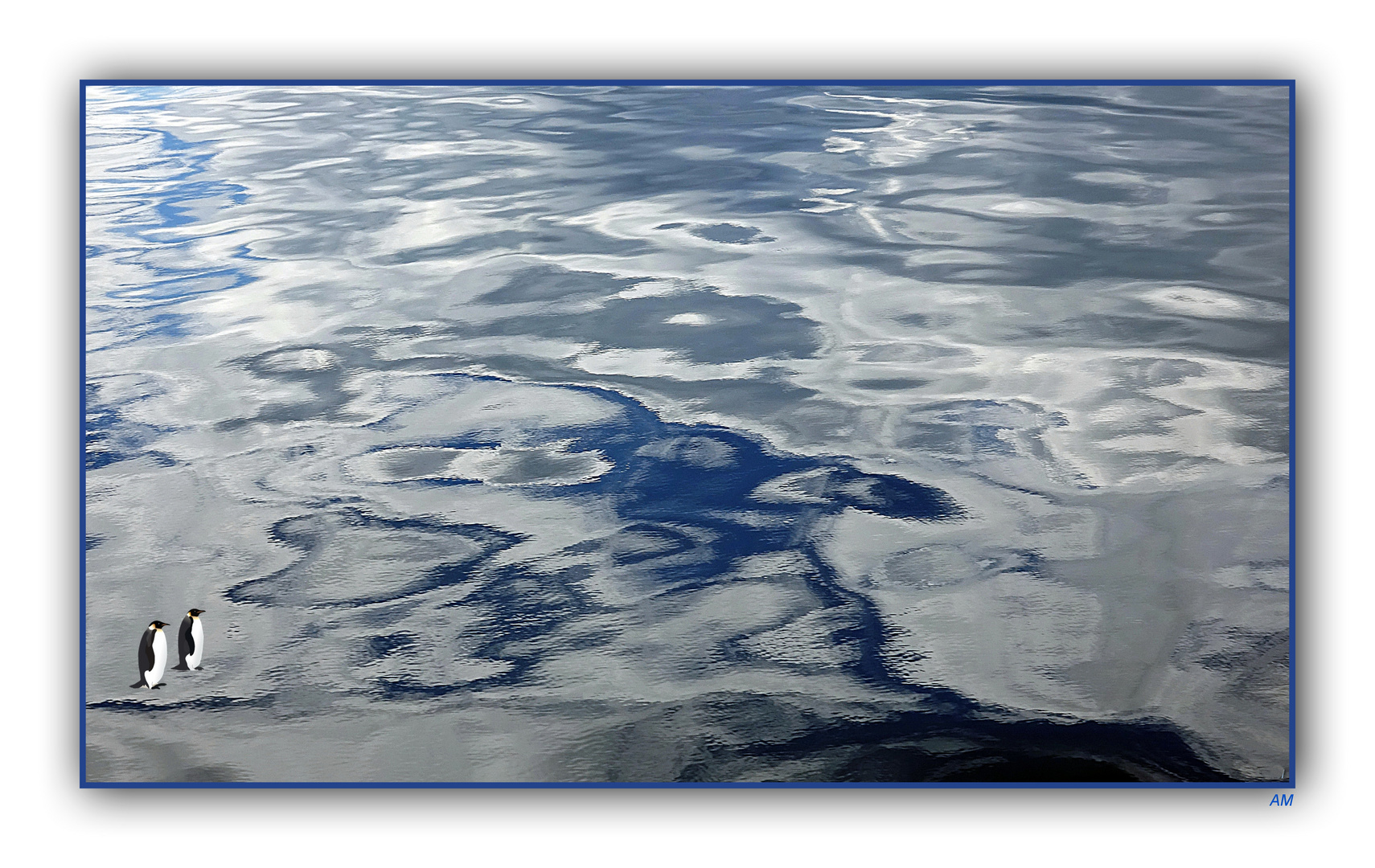 Wasserwelt am Bodensee :-)