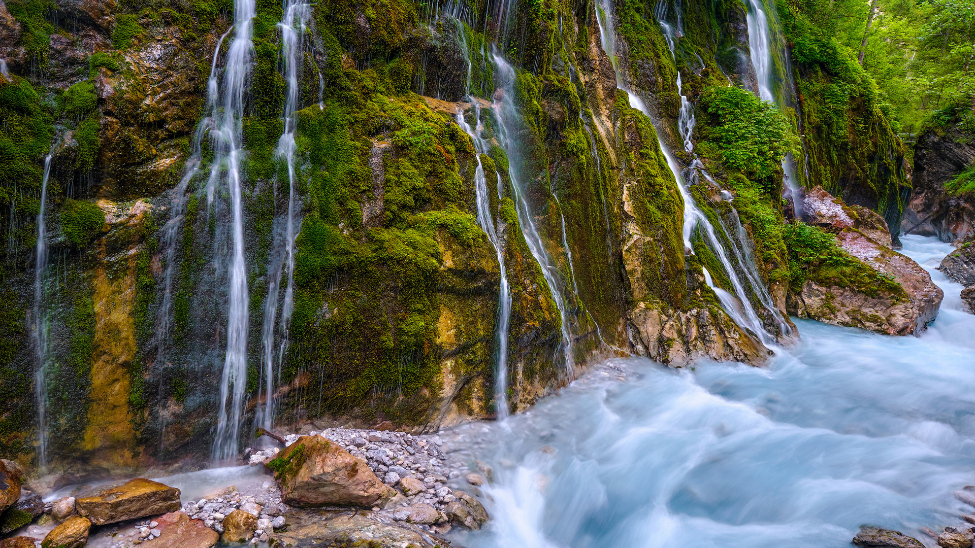 Wasserwelt