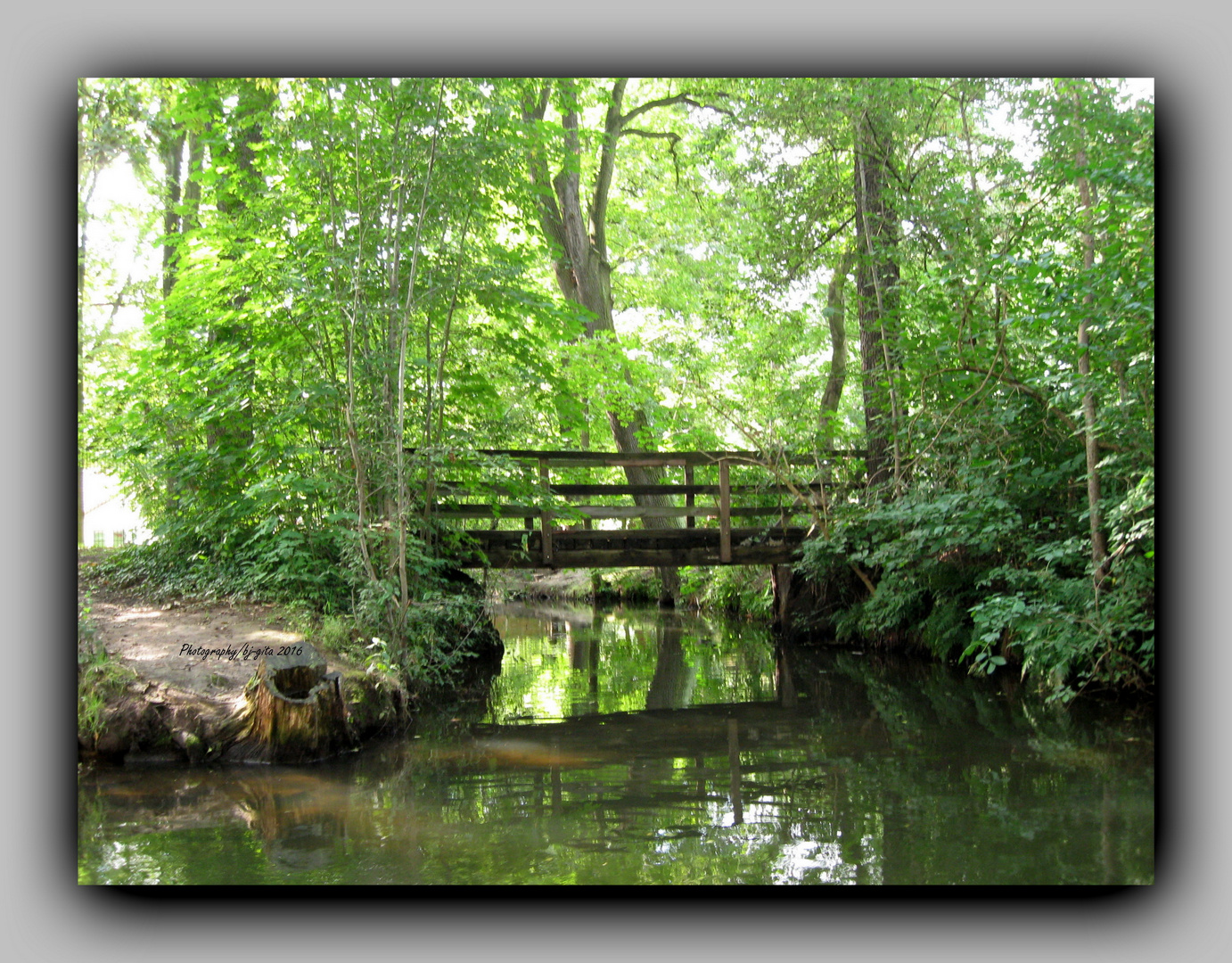 Wasserwelt und Grüne Oase - Spreewald