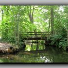 Wasserwelt und Grüne Oase - Spreewald