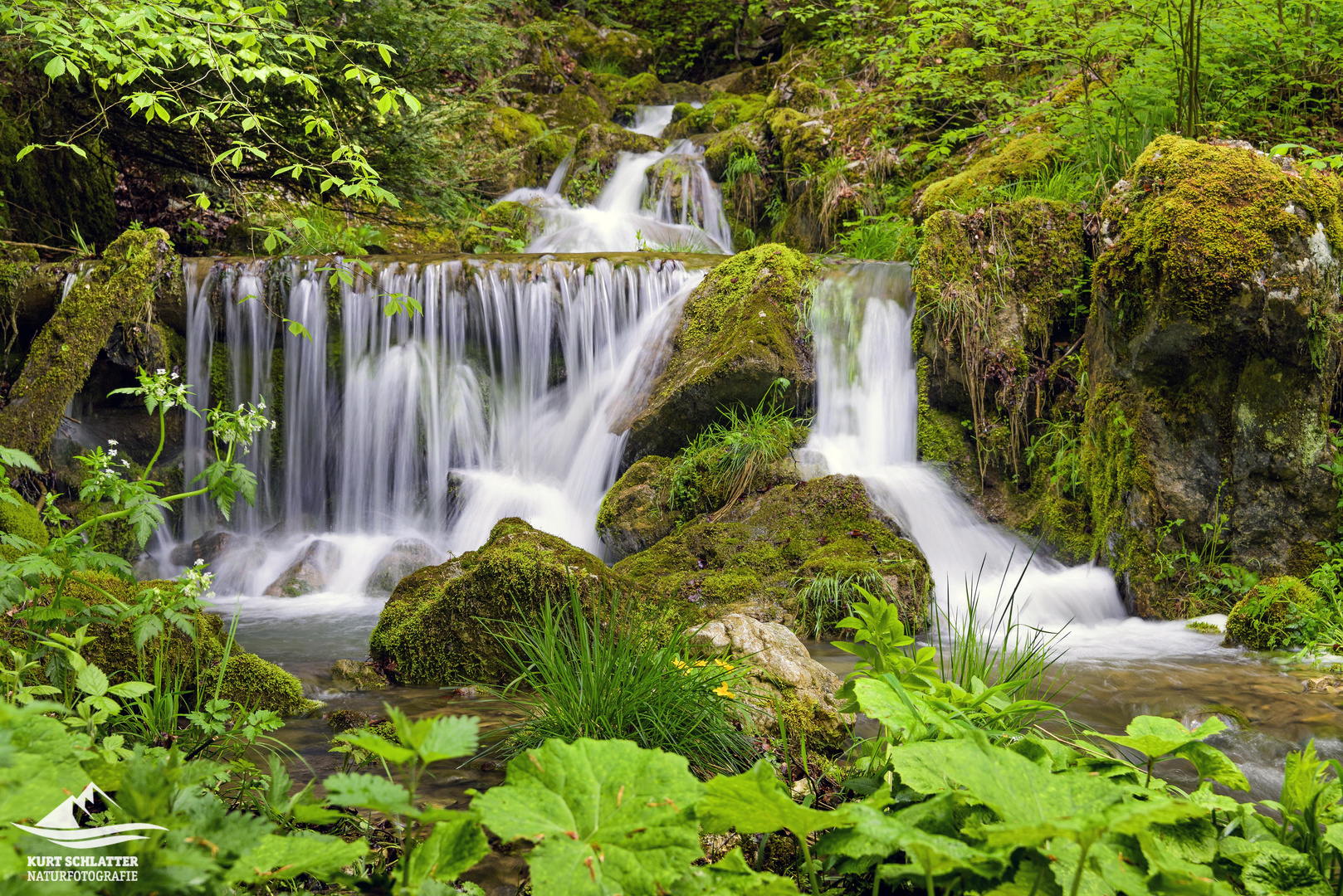 Wasserwelten