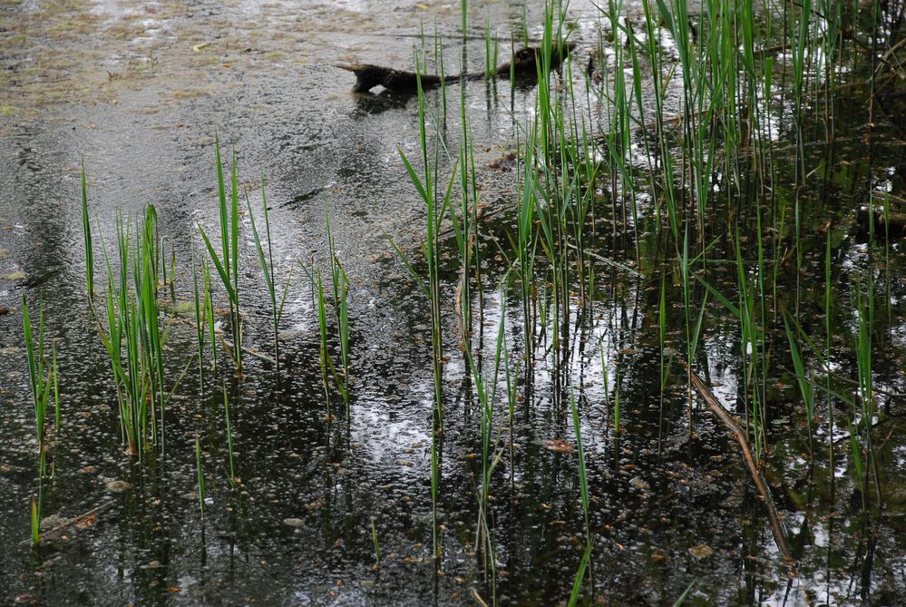 Wasserwelten