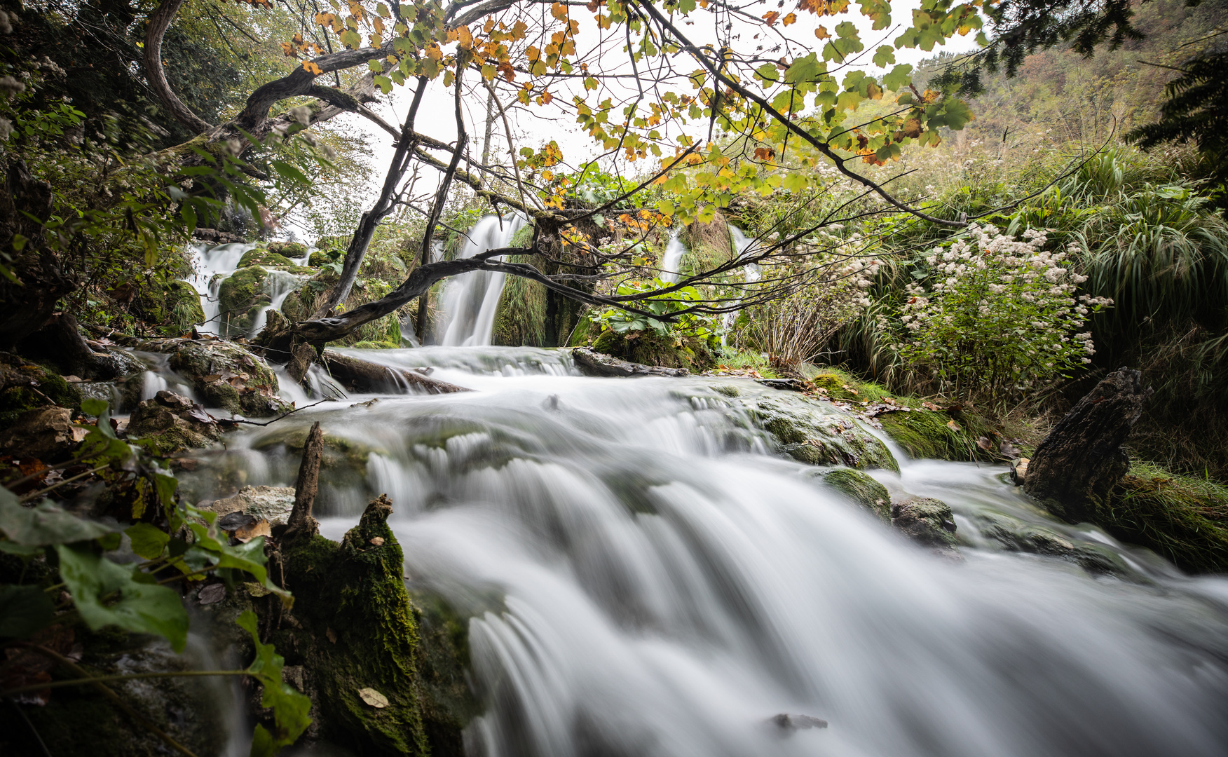 Wasserwelten (16)