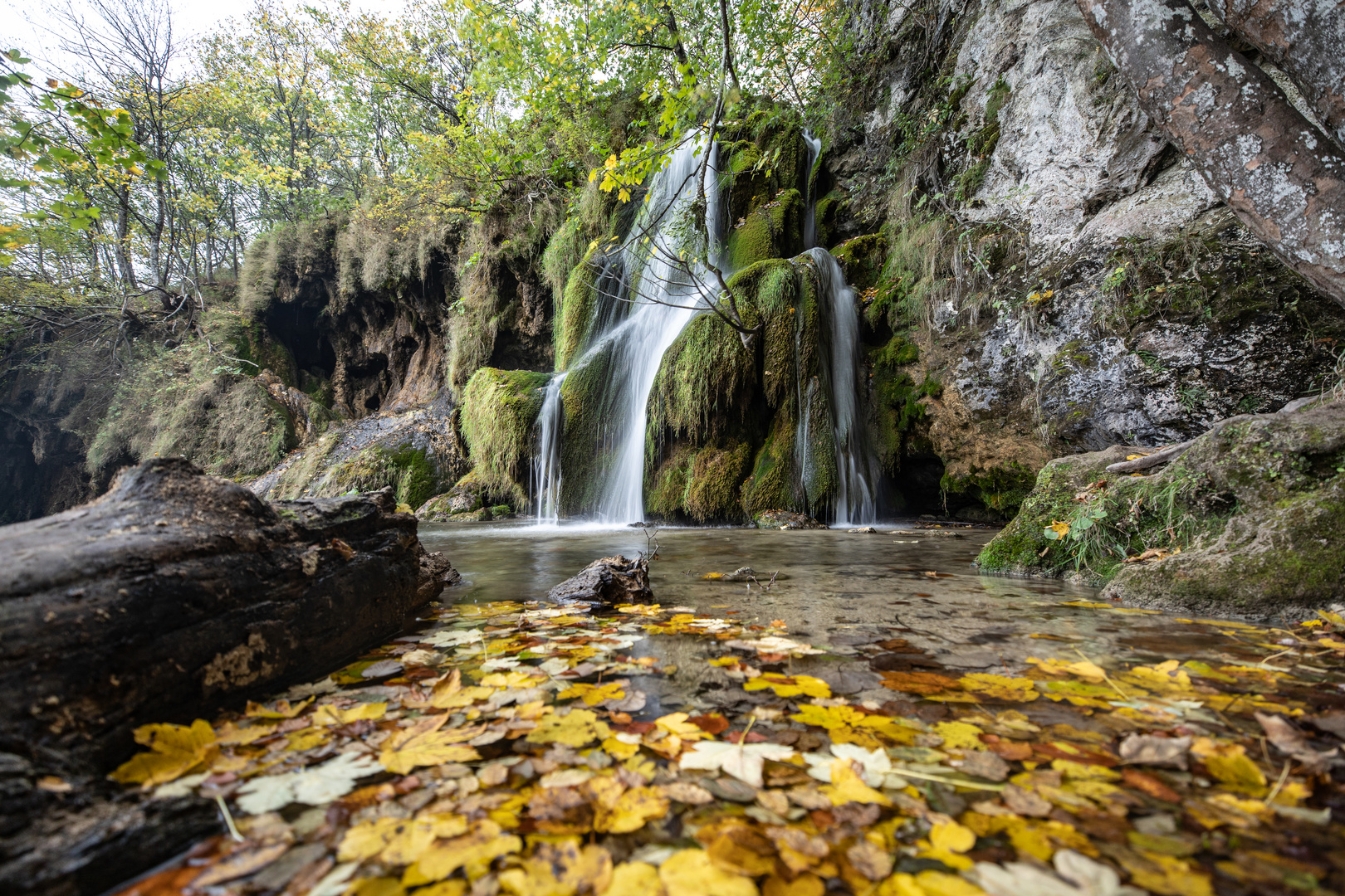 Wasserwelten (2)