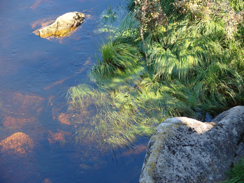 wasserwelten