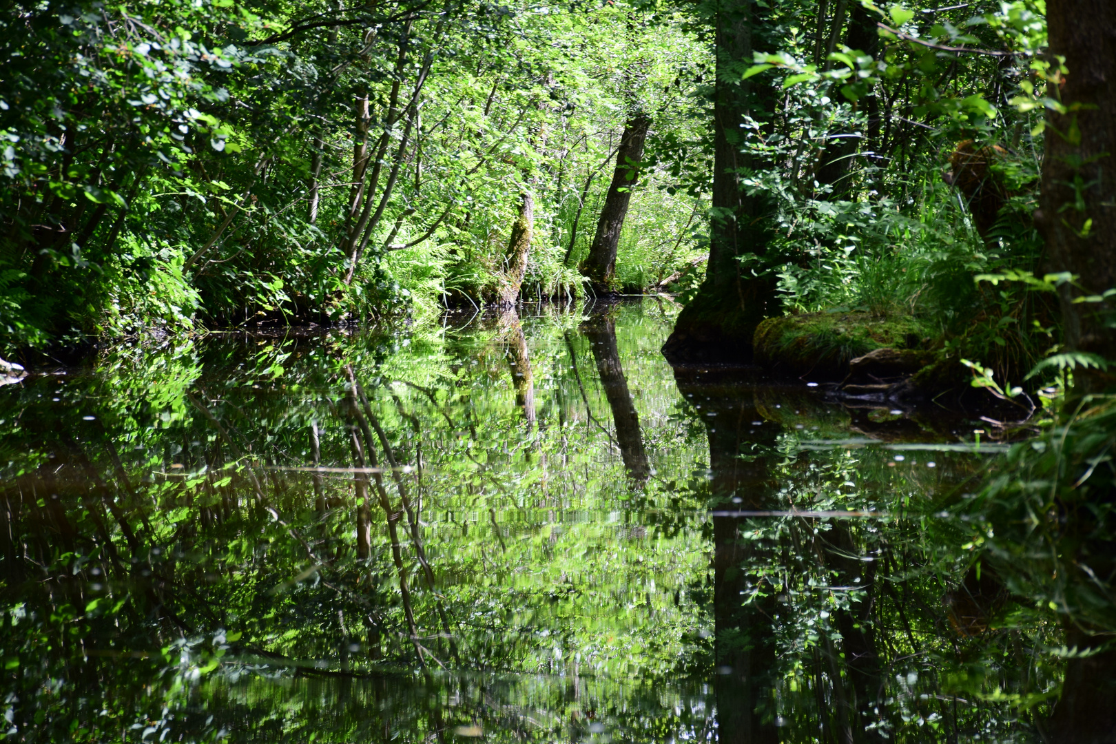 Wasserwelten