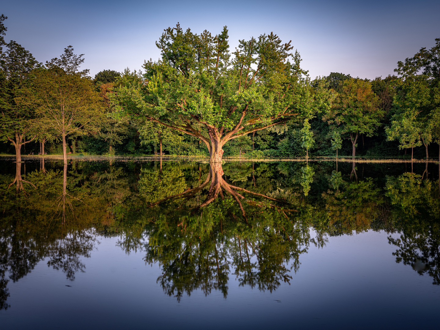 Wasserwelten