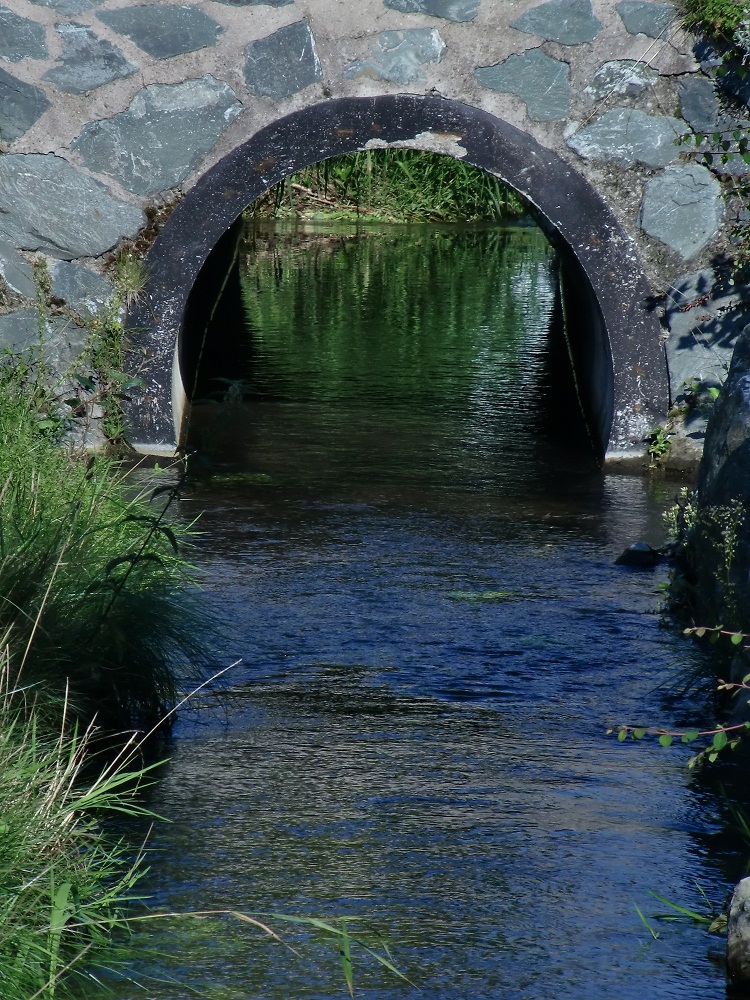 Wasserwelten -  Das Tor in die Wasserwelt