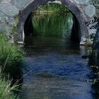 Wasserwelten -  Das Tor in die Wasserwelt