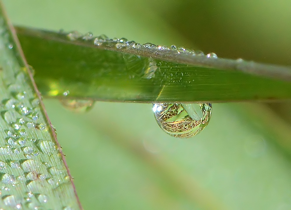 Wasserwelten