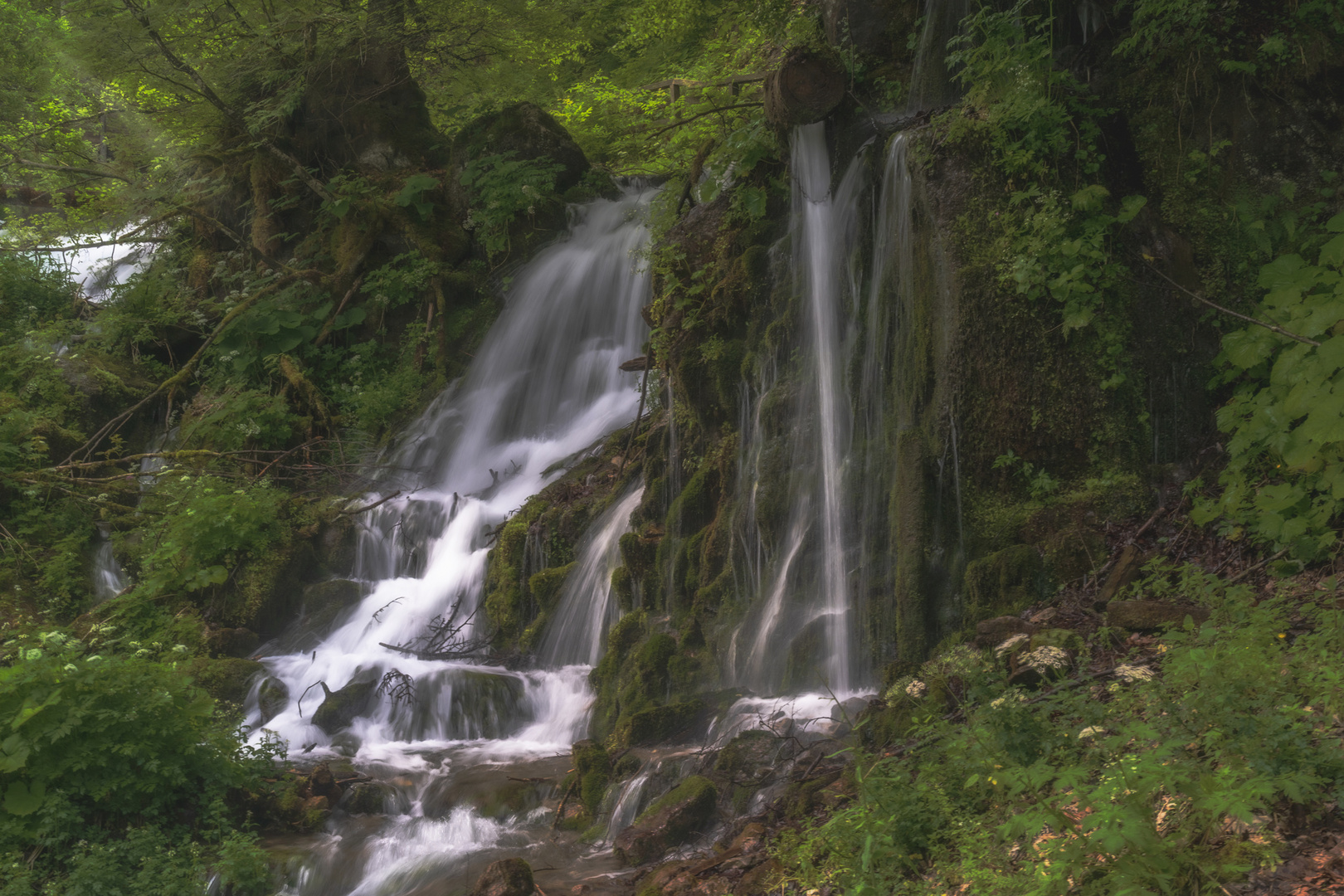 Wasserwelten in meiner Umgebung. 