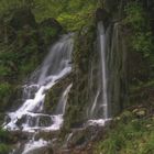 Wasserwelten in meiner Umgebung. 