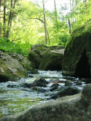 Wasserwelten -  kühle Schönheit