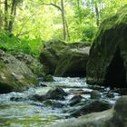 Wasserwelten -  kühle Schönheit