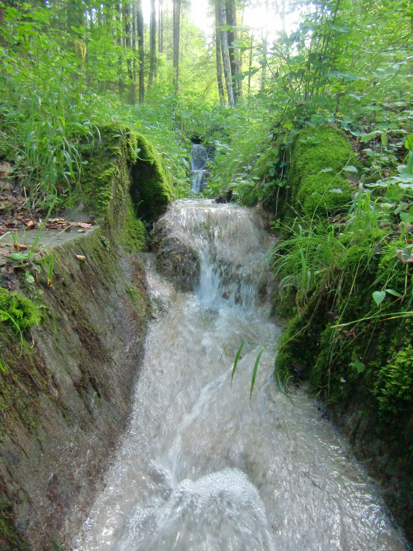 Wasserwelten -  Mangfallzufluß