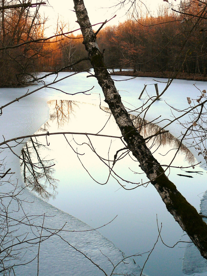 Wasserwiesen